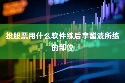 投股票用什么软件练后拿醋渍所练的部位