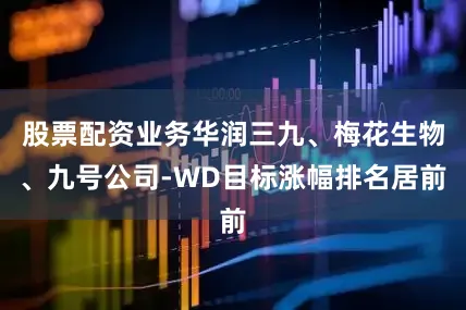 股票配资业务华润三九、梅花生物、九号公司-WD目标涨幅排名居前