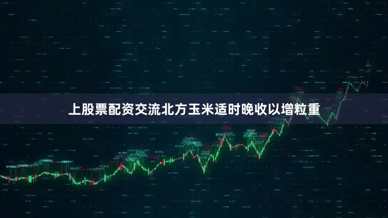上股票配资交流北方玉米适时晚收以增粒重