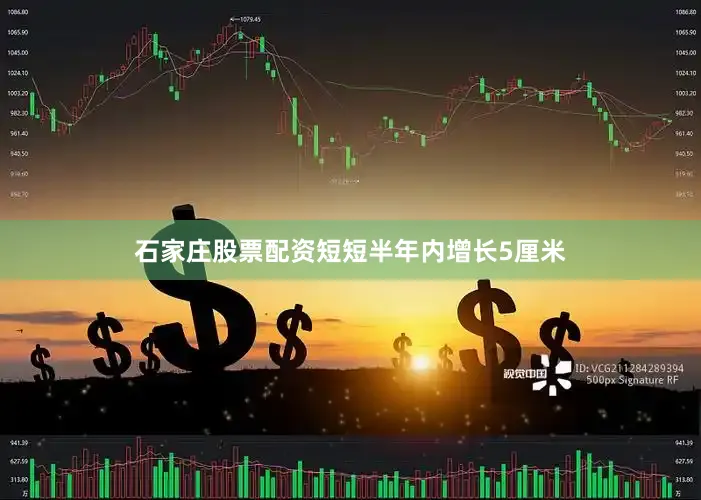 石家庄股票配资短短半年内增长5厘米