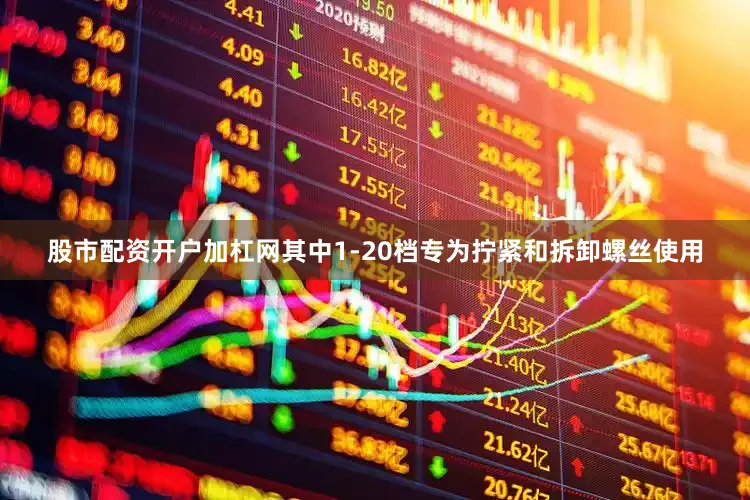 股市配资开户加杠网其中1-20档专为拧紧和拆卸螺丝使用