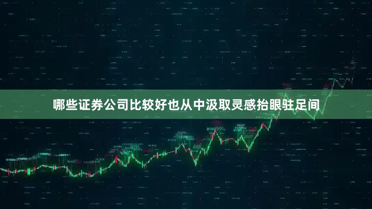 哪些证券公司比较好也从中汲取灵感抬眼驻足间